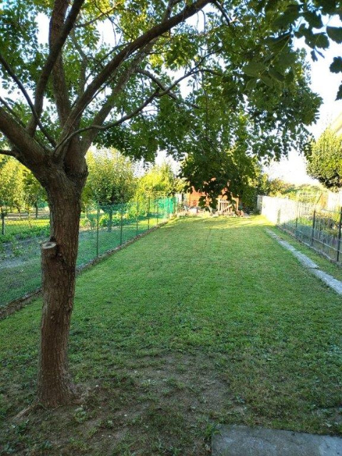 Casa Singola in vendita a Quarto d'Altino